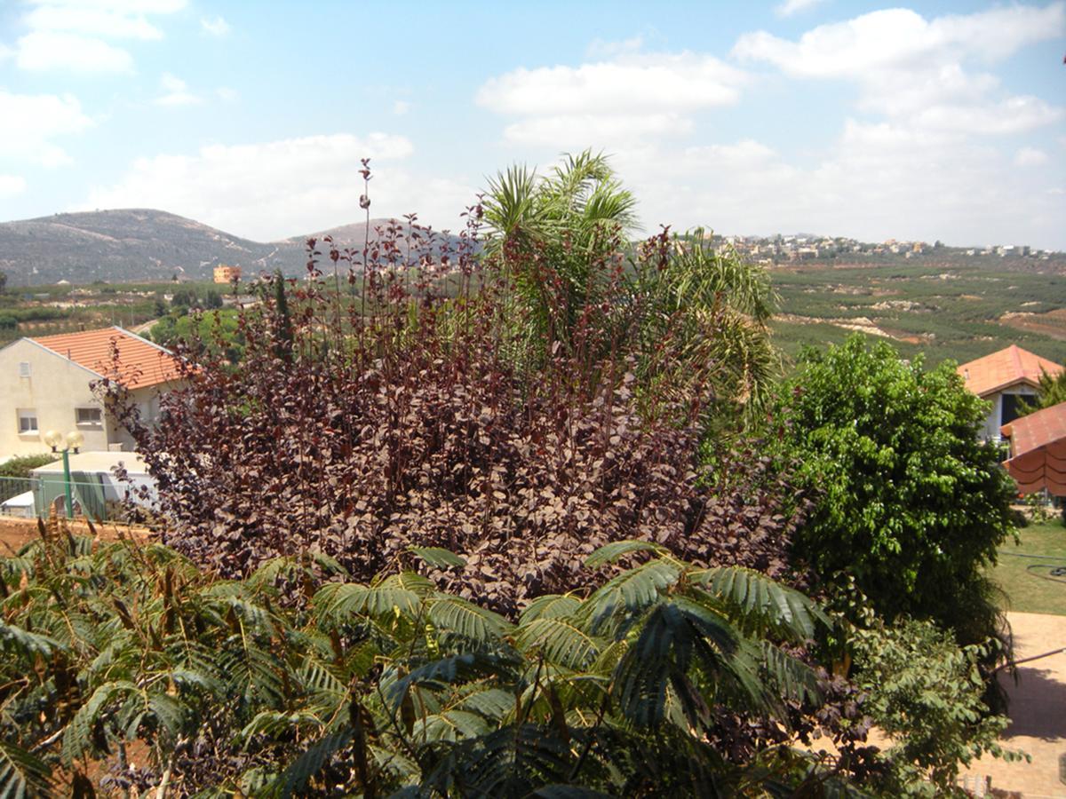 In Our Backyard - Metula Villa Dış mekan fotoğraf